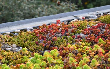 the cost of Great Wenham green roof installation