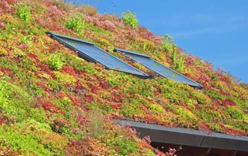 Great Wenham living roof systems